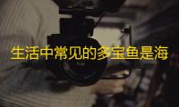 生活中常见的多宝鱼是海鱼还是淡水鱼